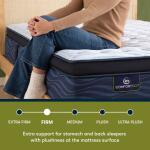iComfortECO Q20GL Firm Pillow Top Firm Back Sleeper 12