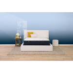 Perfect Sleeper Adoring Night Plush California King Serta 9