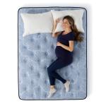 Perfect Sleeper Blue Lagoon Nights Plush California King Serta 10