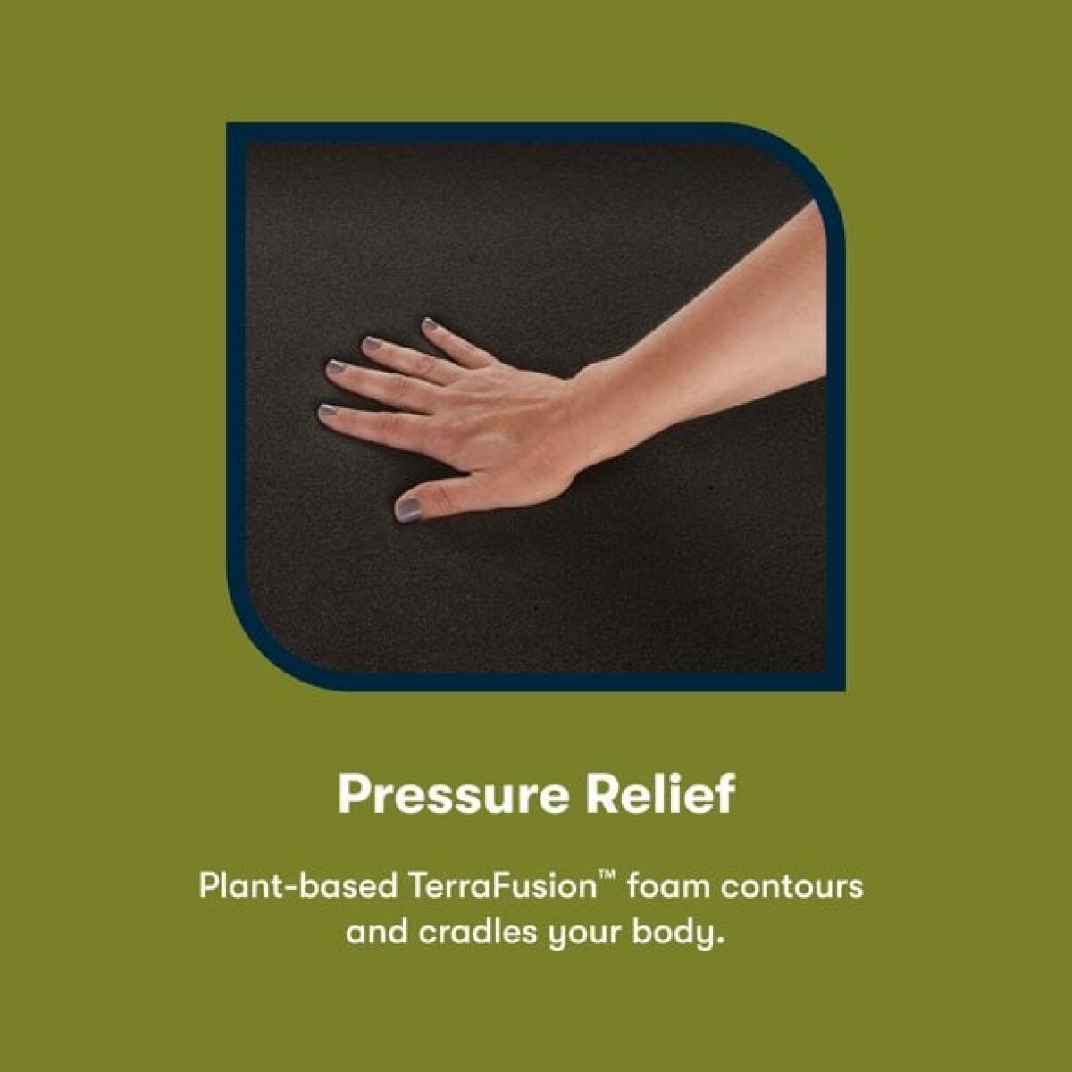 iComfortECO Q20GL Firm Pillow Top Firm Back Sleeper 7