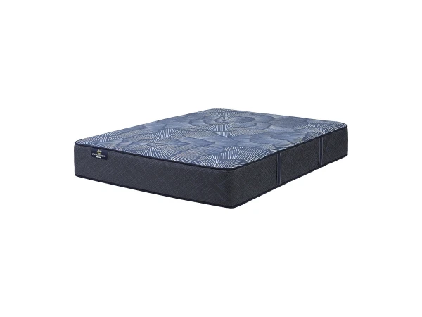 Perfect Sleeper Euphoric Nights Hybrid Firm Mattress California King Back Sleeper