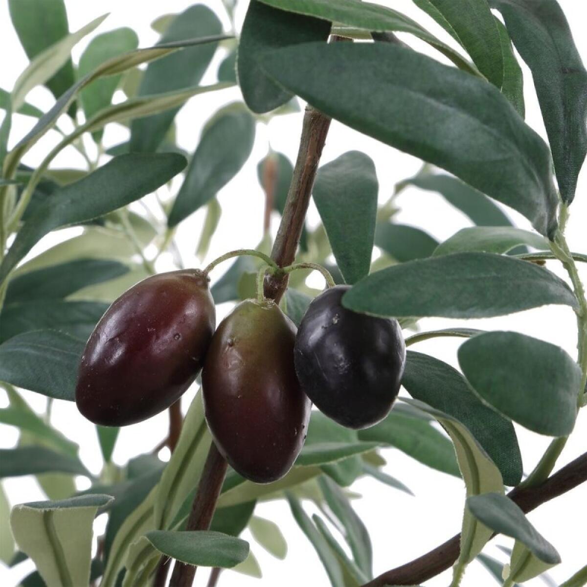 Marisol Potted Olive - Image 7