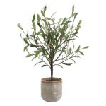 Solea Olive Accent - Image 5