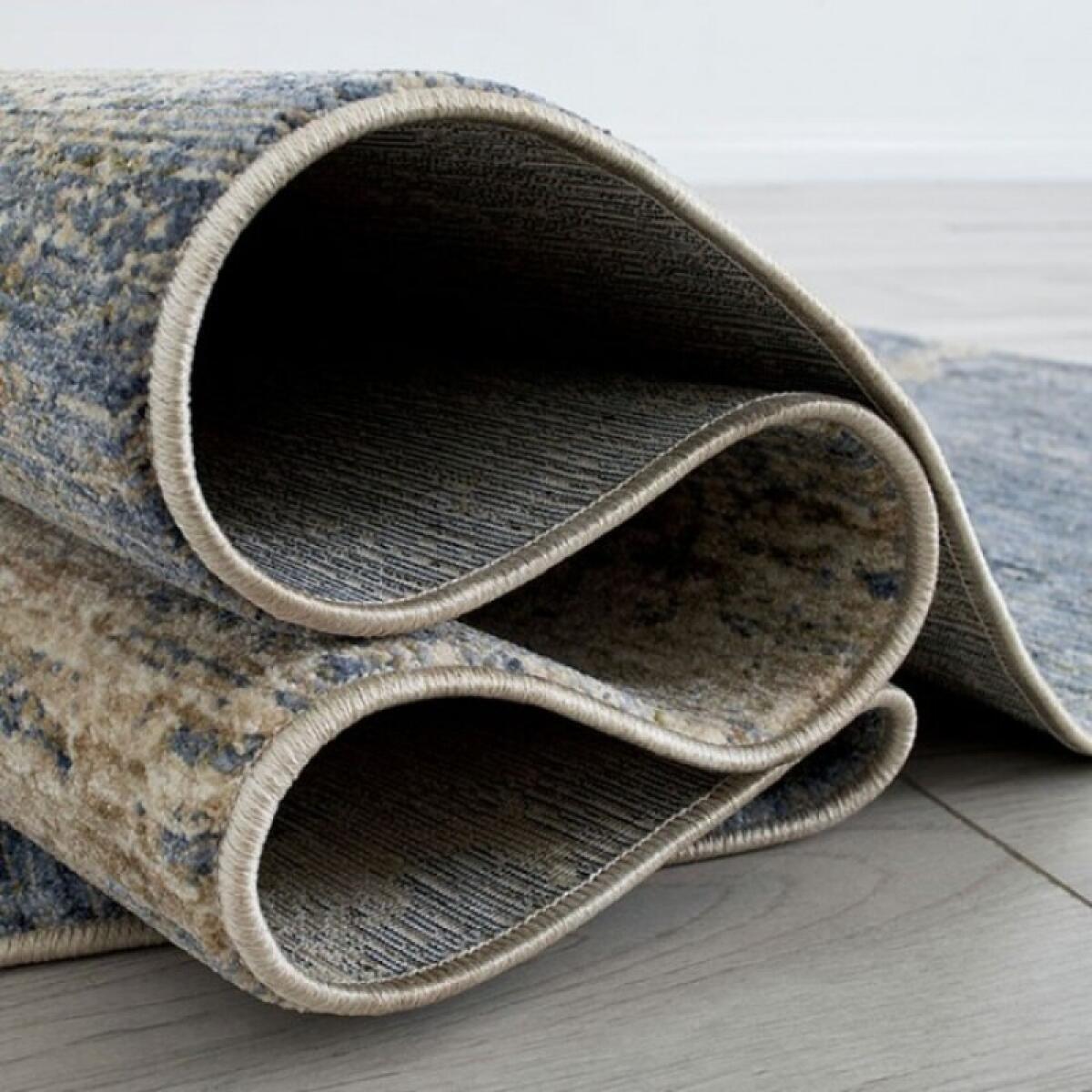 Payas Area Rug 5′ x 7′ Rugs Blue/Multi 6