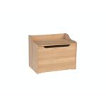 22” Storage Chest / Toy Chest Accent Furniture Accent Furniture 2