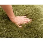 Elardo Accent Chair - Image 4