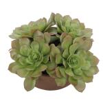 Sable Succulent Accent - Image 6