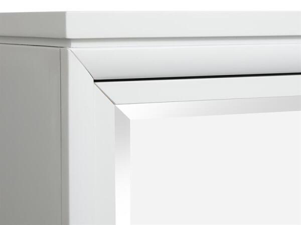 Springhouse Door Chest - Image 4