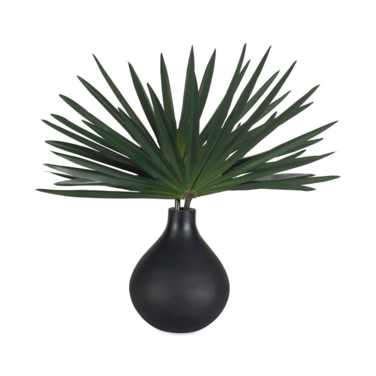 Axis Palm Accent - Image 2
