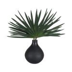 Axis Palm Accent