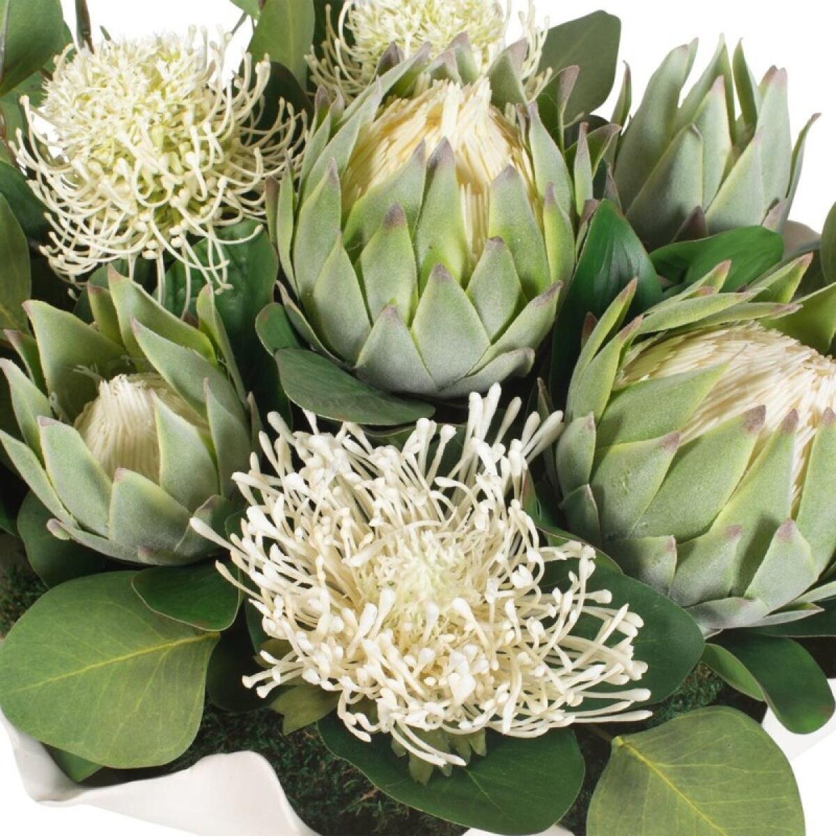 Protea Blooms Centerpiece - Image 10