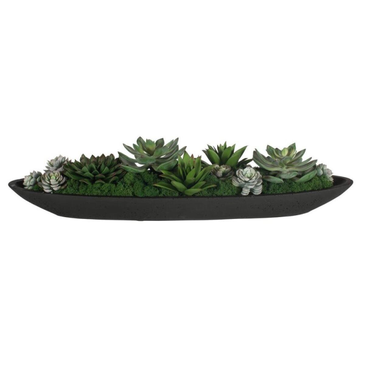 Verde Succulent Centerpiece Accessories Accessories 9