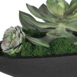 Verde Succulent Centerpiece Accessories Accessories 20
