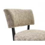 Aveni Accent Chair Chairs Beige 15