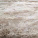 Famalica Area Rug 5′ x 7′ Rugs Cream 13