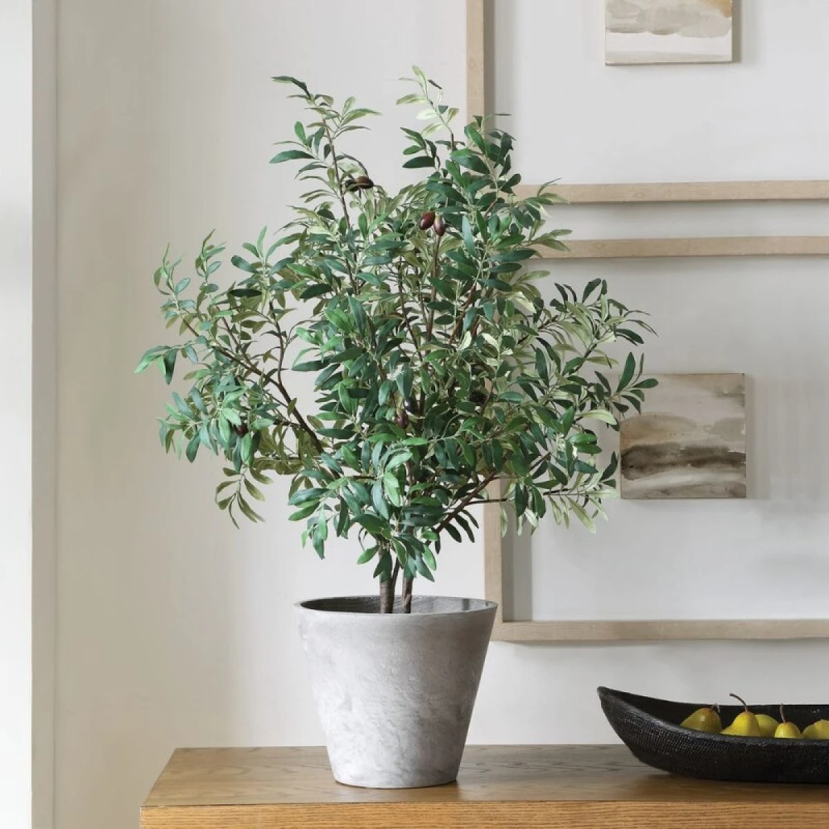 Marisol Potted Olive - Image 2