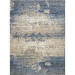 Payas Area Rug 5′ x 7′ Rugs Blue/Multi 12