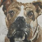 Dog Days Framed Prints, S/4 Art Art 15