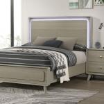 Rainier 5 Pc Queen Bedroom Set (Panel HB)
