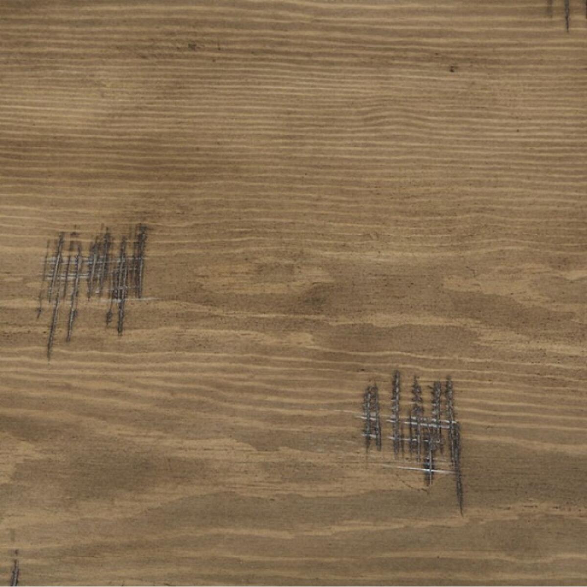 Kirstin Server - Image 6