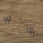 Kirstin Server - Image 6