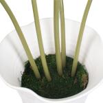 Muse Monstera Centerpiece - Image 7