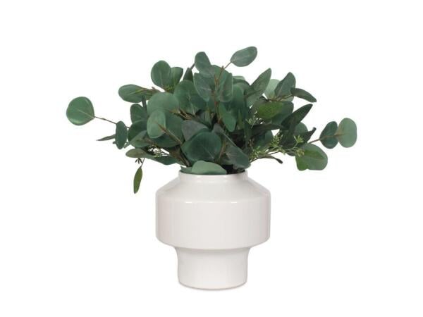 Essence Eucalyptus Accent Accessories Accessories