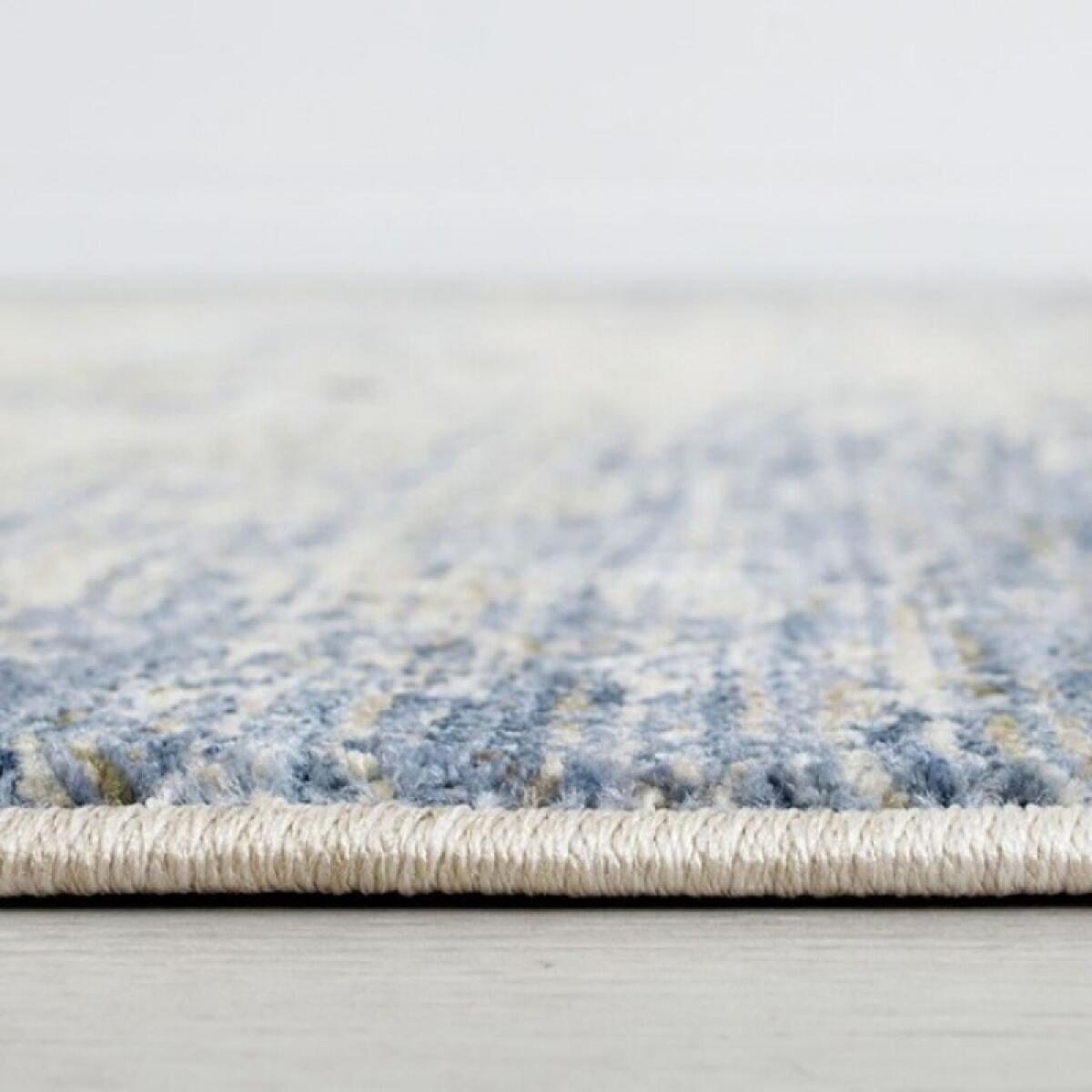 Payas Area Rug 5′ x 7′ Rugs Blue/Multi 9