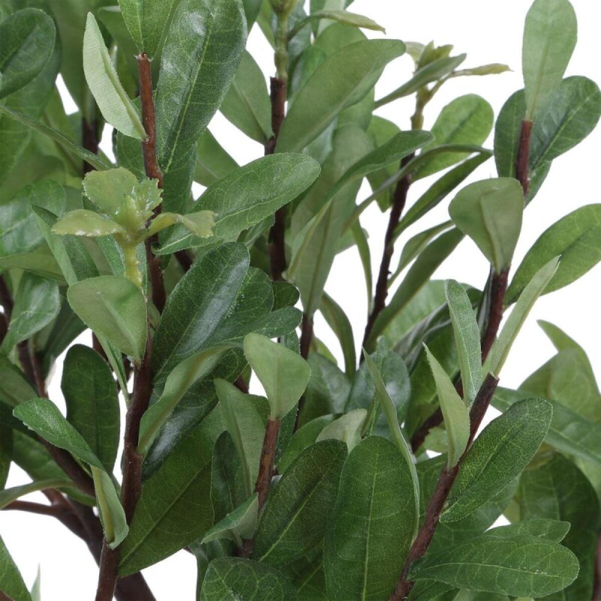 Arbor Strawberry Tree Accessories Accessories 9