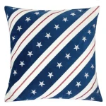 Dakotha Accent Pillow Accent Pillows Accent Pillows 2