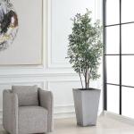 Sonora Olive Tree - Image 4