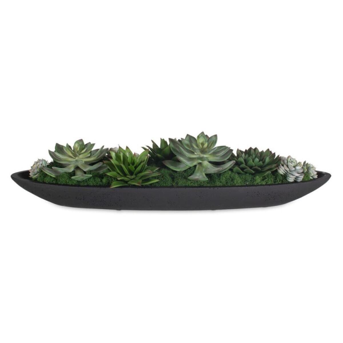 Verde Succulent Centerpiece Accessories Accessories 4