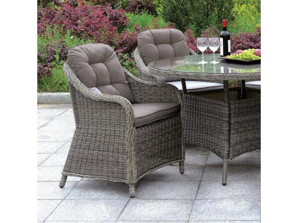Canistota Arm Chair Outdoor Chairs Furniture of America
