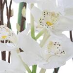 Eterna Orchid Centerpiece - Image 8