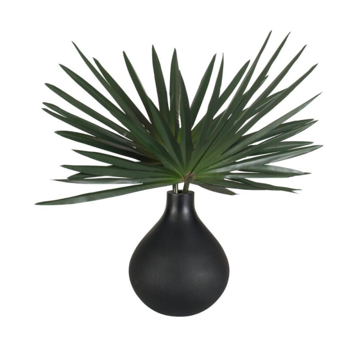 Axis Palm Accent - Image 5