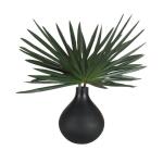 Axis Palm Accent - Image 5