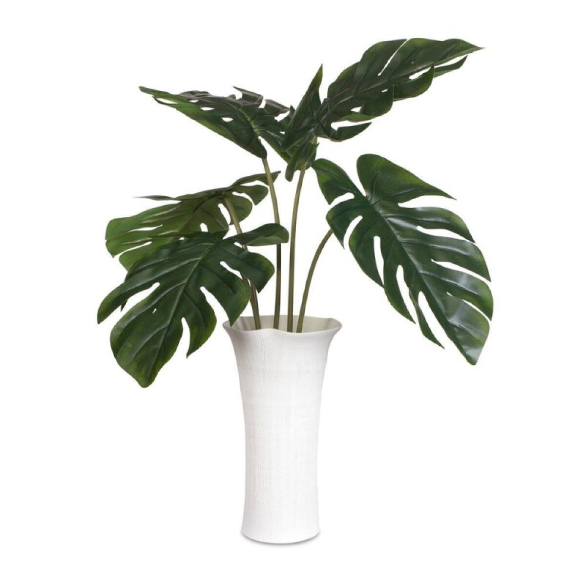Muse Monstera Centerpiece - Image 2