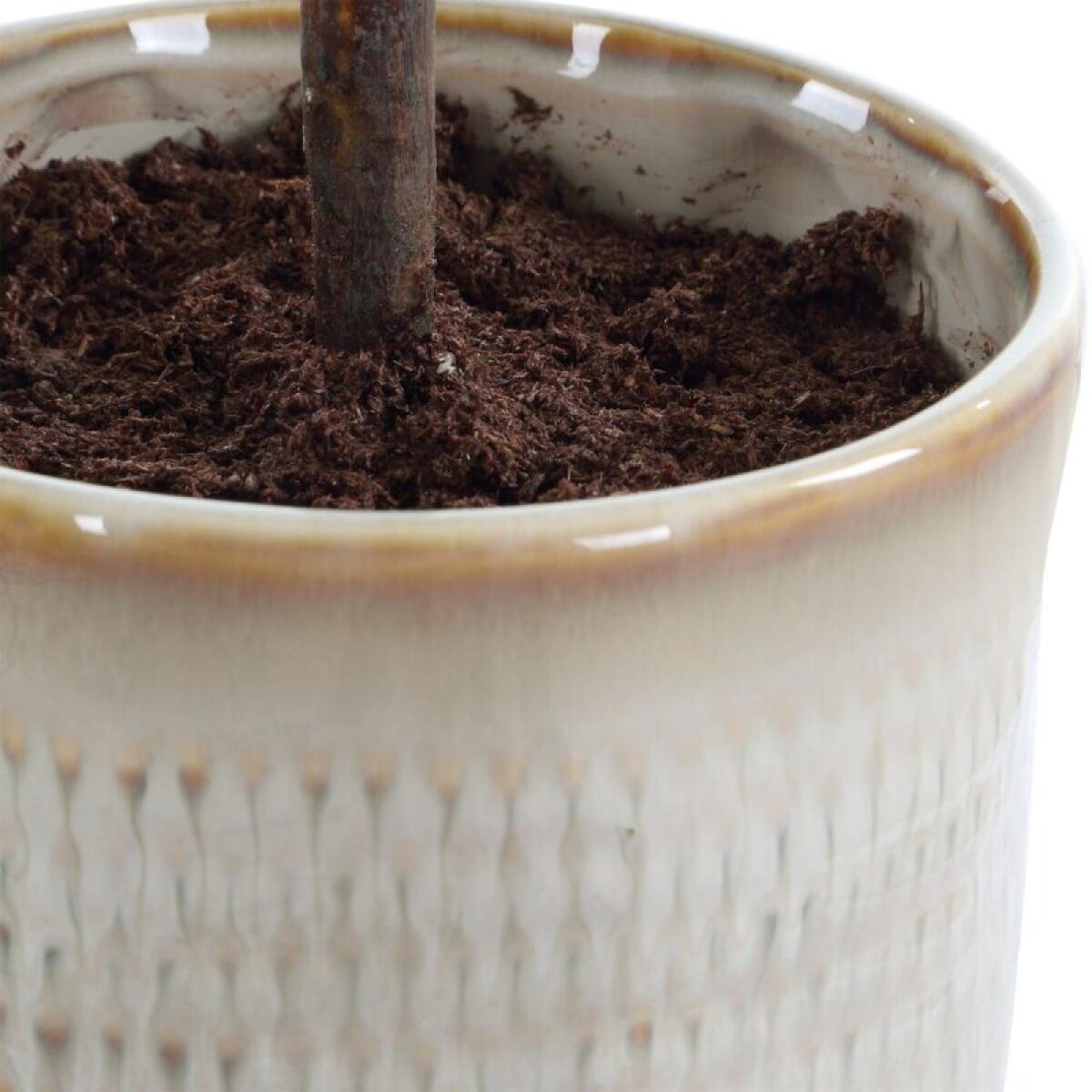 Solea Olive Accent - Image 6