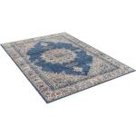 Payas Area Rug 5′ x 7′ Rugs Blue 14