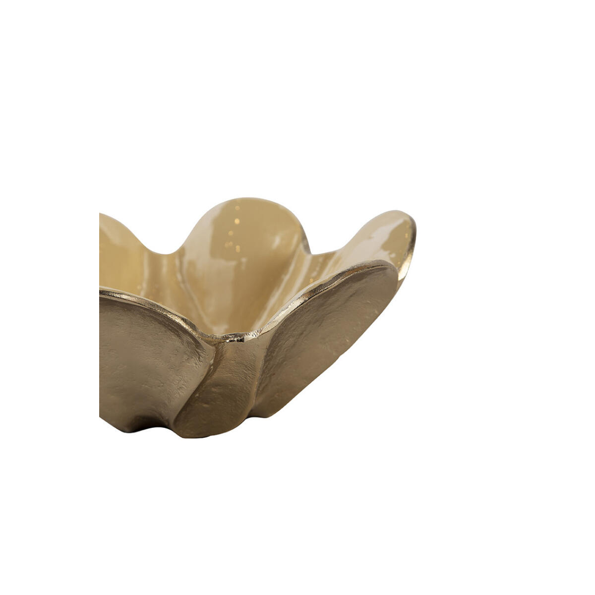 Willis Bowl Accessories Accessories 7