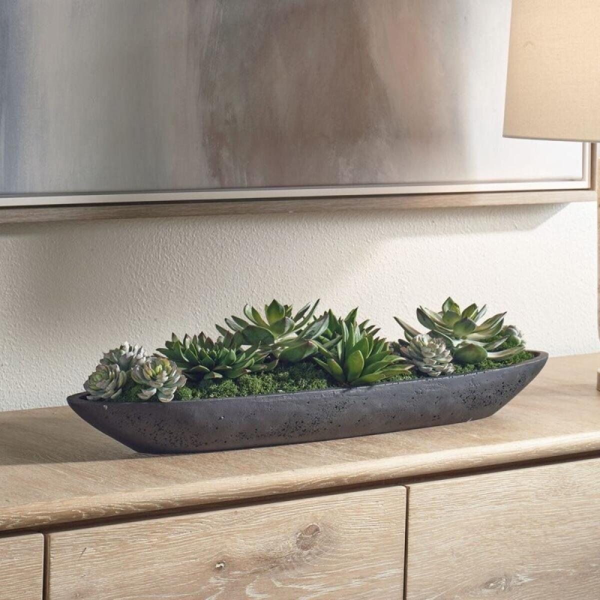 Verde Succulent Centerpiece Accessories Accessories 6