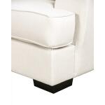 Hyde Park Loveseat w/ Pillows Loveseats Furniture of America 22