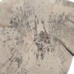 Teo Wood Wall Decor, Bleached S/3 - Image 8