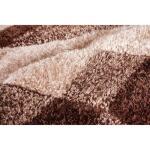 Hepsiba Area Rug 5′ x 7′ Rugs Brown 11