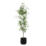 Boreal Potted Birch Tree - Image 5