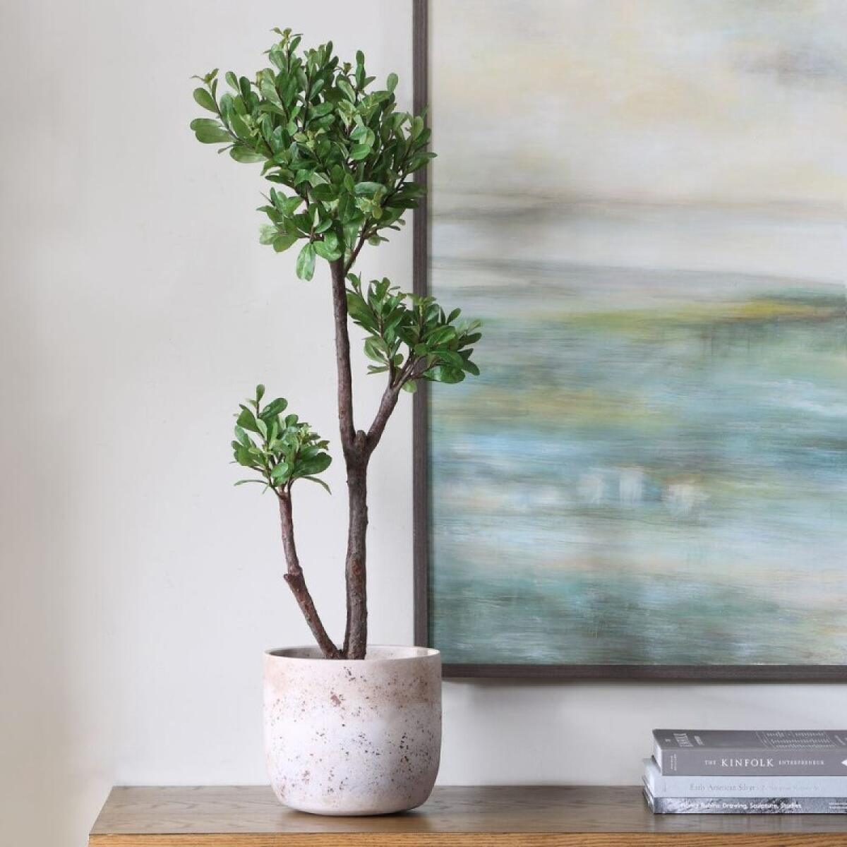 Arbor Strawberry Tree Accessories Accessories 6