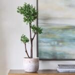 Arbor Strawberry Tree Accessories Accessories 13