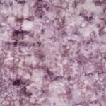 Famalica Area Rug 5′ x 7′ Rugs Cream