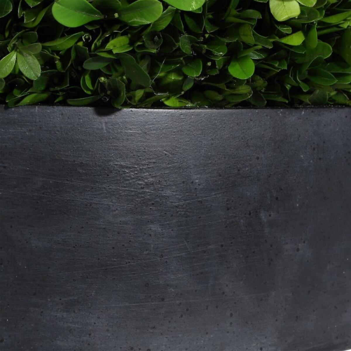 Verdana Boxwood Centerpiece - Image 6