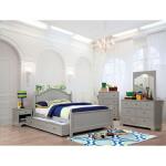 Dani Mirror Bedroom Mirrors Furniture of America 8